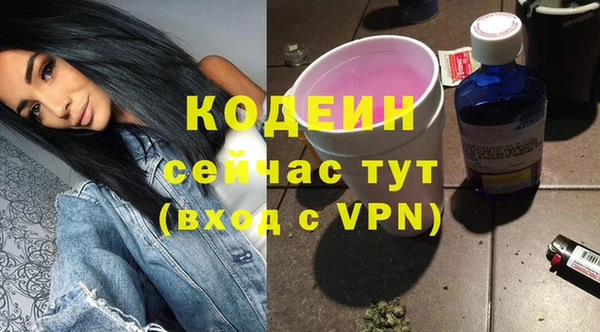 хмурый Богородицк